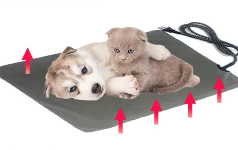 Custom Options for Pet Heating Pads