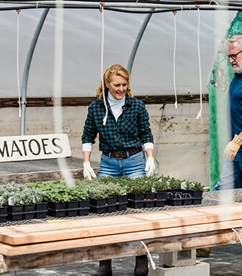 Heating Pads for Propagation