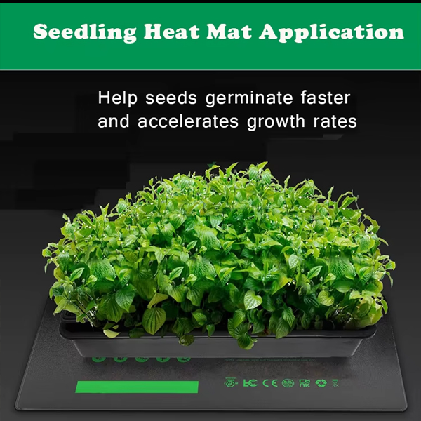 Help-seed-germinate-faster