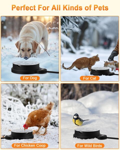 71IMEuxQfAL._AC_SL1500_