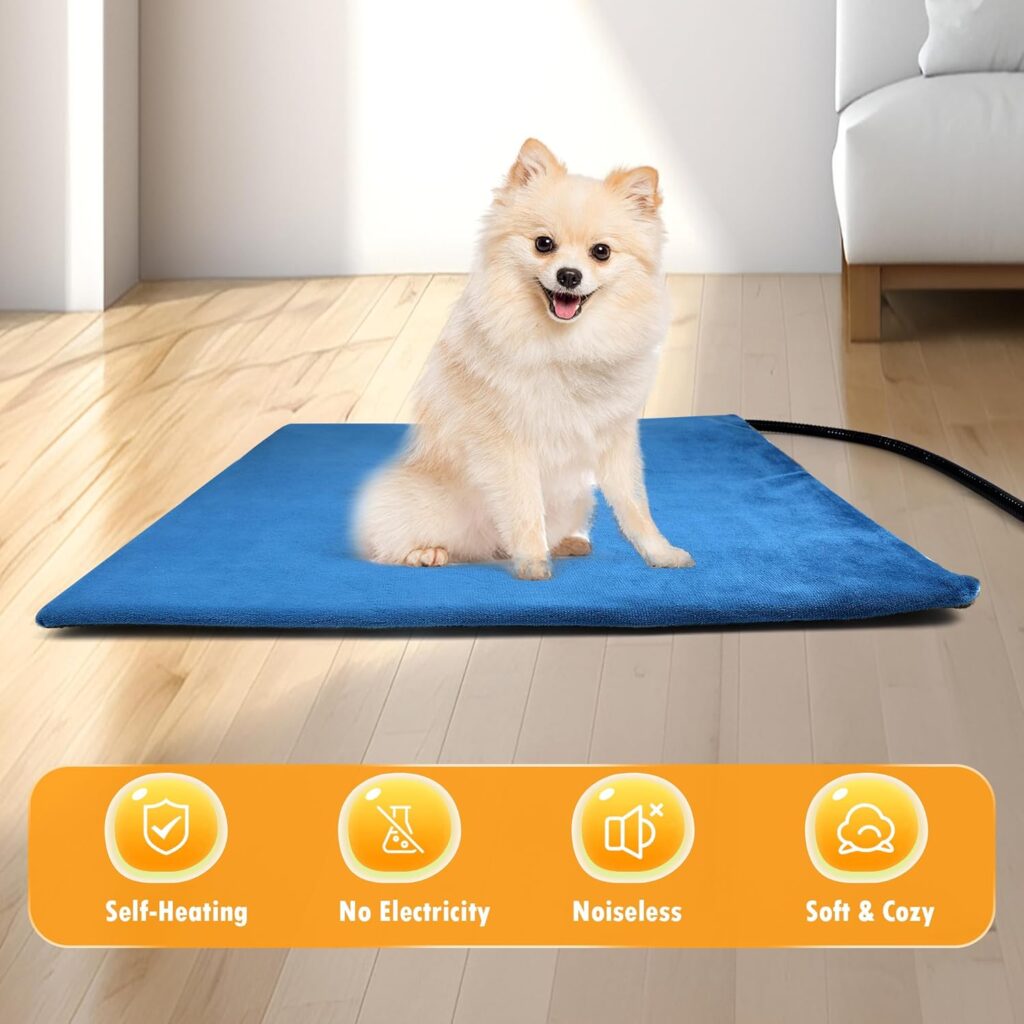 71nbe0BrdQL._AC_SL1500_