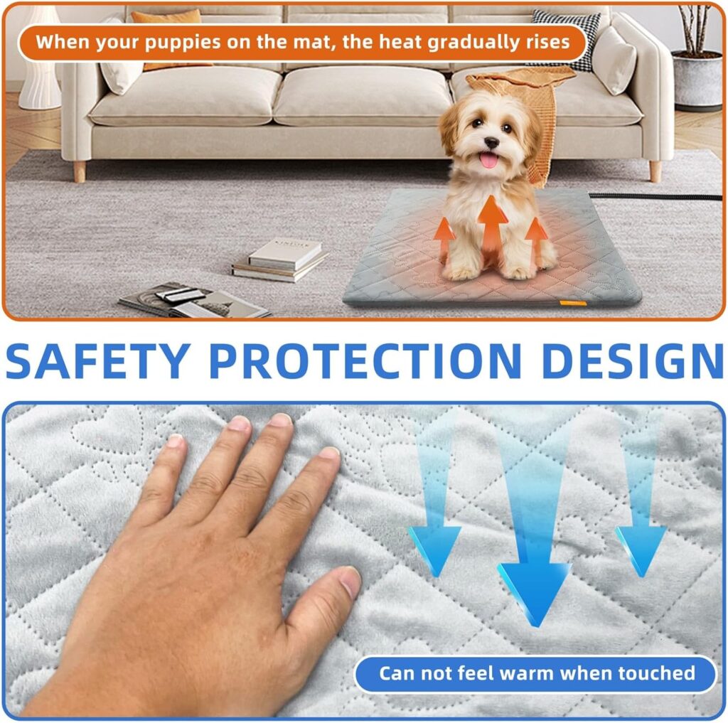 81-EQ0ncN1L._AC_SL1500_