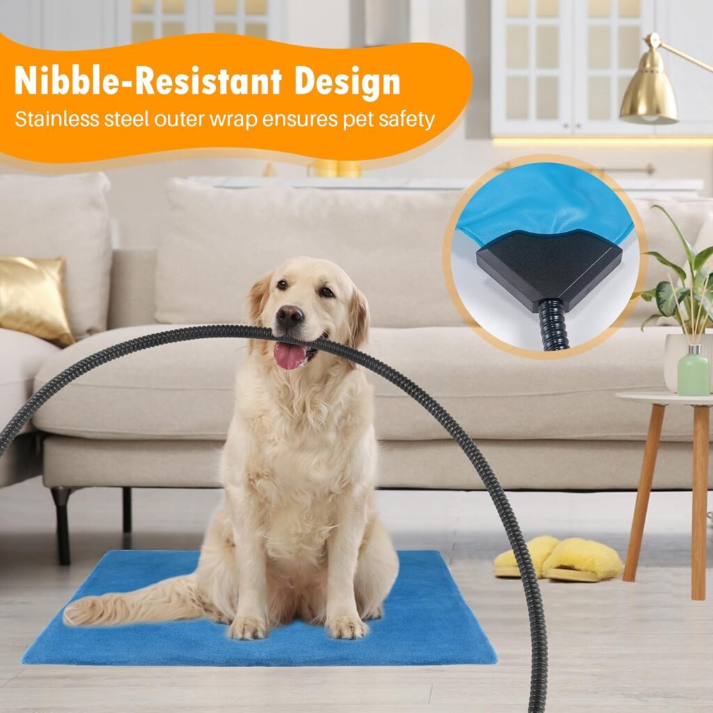 81EVNqAKSeL._AC_SL1500_