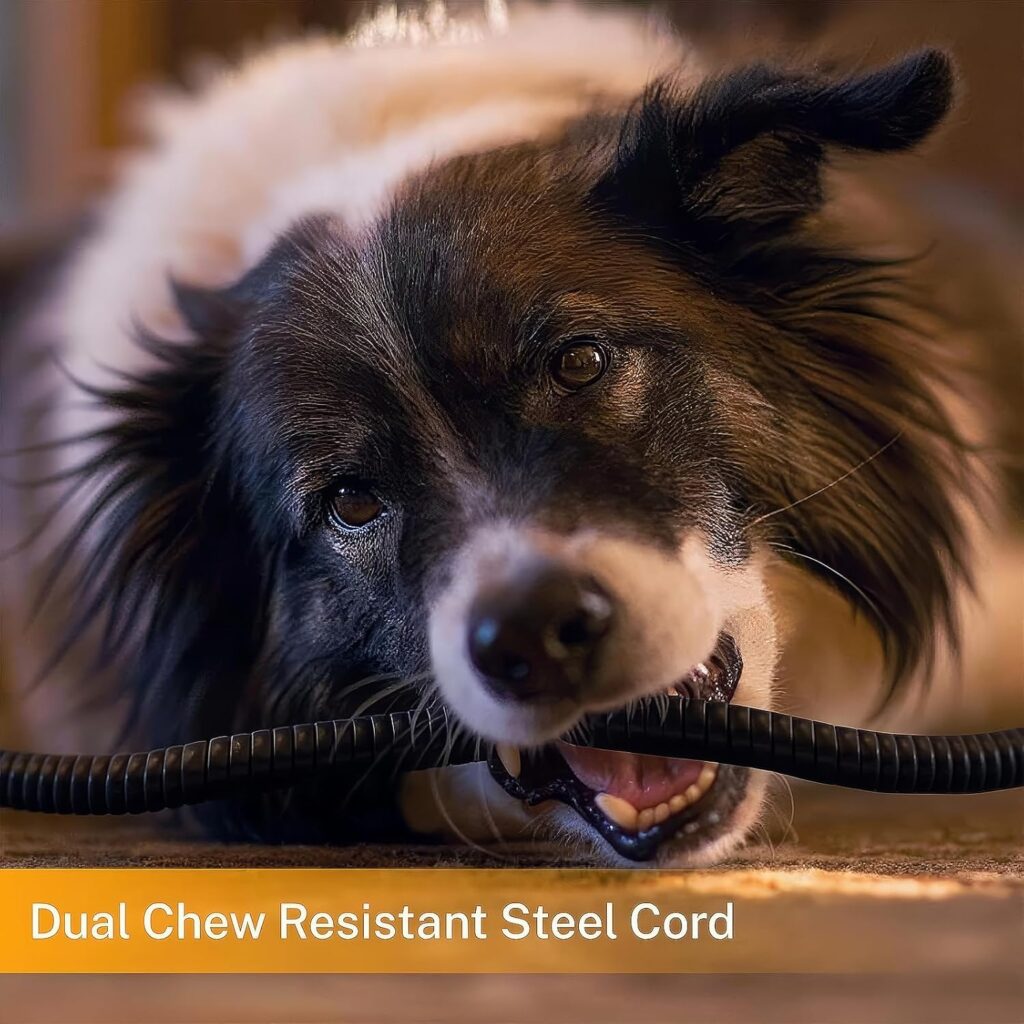 81SyulxaGAL._AC_SL1500_